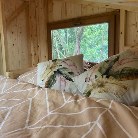 Tiny Resort Chotevice 1 Kottwitz 외부 사진
